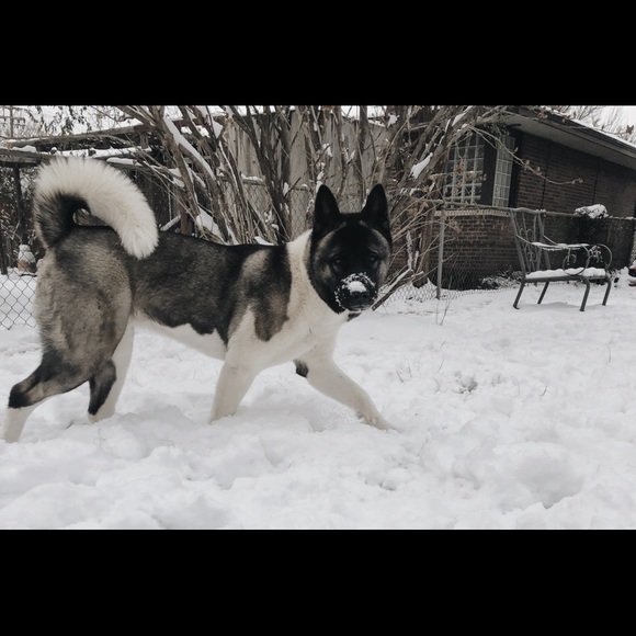 Meet your Posher! - Picture 6 of 8